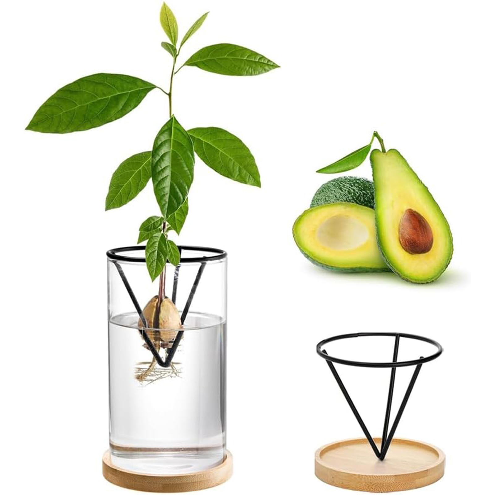 1Set Avocado Tree Growing Kits - огляд і ціна Crystal Growing Kit