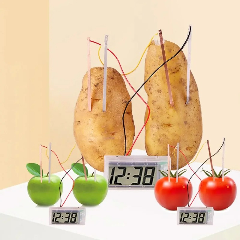 New Kid Montessori Toy Fruit P - огляд і ціна Science Nature