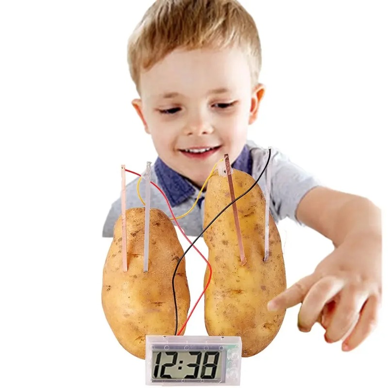 New Kid Montessori Toy Fruit P - огляд і ціна Science Nature