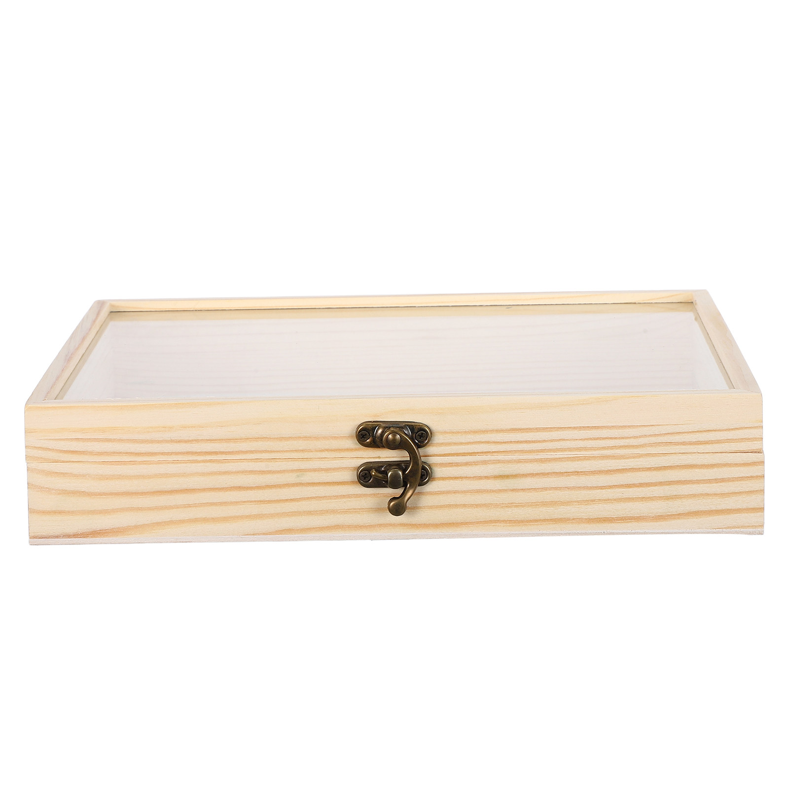 Solid Wood Insect Specimen Dis - огляд і ціна Science Project